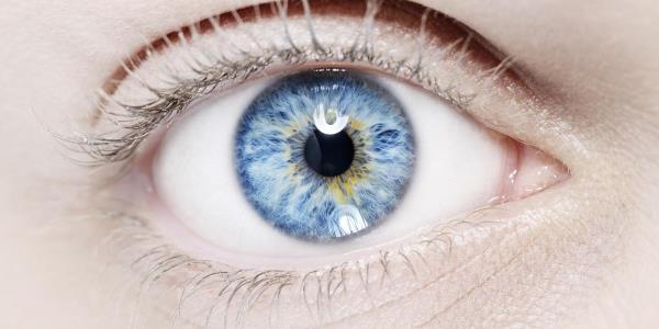 地球上每一个蓝眼睛的人都是一个人的后代 